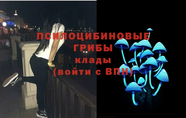 таблы Вяземский