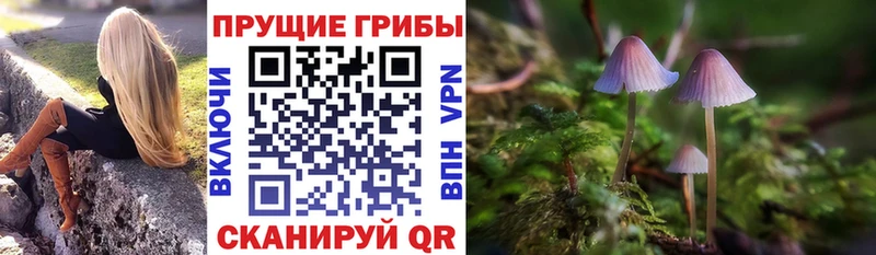 как найти закладки  hydra зеркало  Псилоцибиновые грибы Psilocybe  Оса 